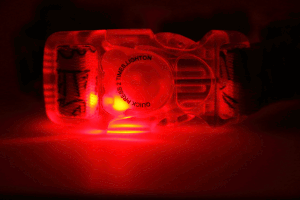 Dog Collar With a Plastic LED Buckle - Boho